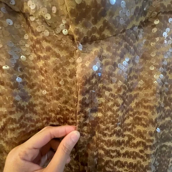 Zara Brown Sequin Pants - Picture 7 of 10